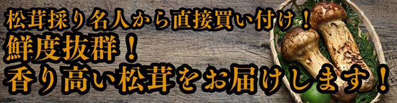 鮮度抜群 松茸
信州上田産の松茸をお届けします。