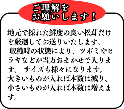 地元で採れた鮮度の良い松茸だけを厳選してお送りいたします。 収穫時の状態により、ツボミやヒラキなどが当方おまかせで入ります。 サイズも様々になります。 大きいものが入れば本数は減り、小さいものが入れば本数は増えます。