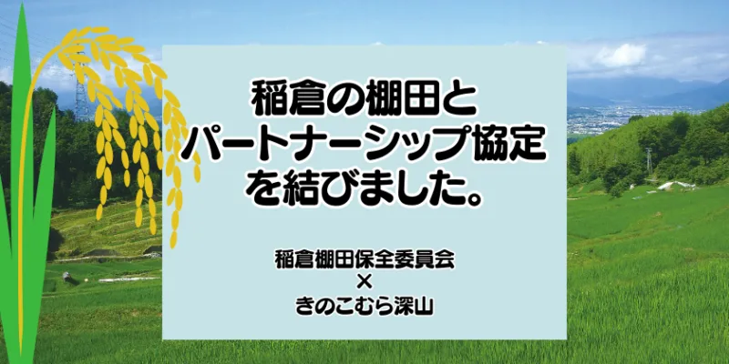 稲倉の棚田