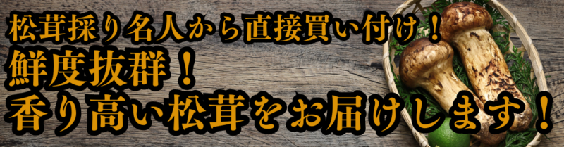 鮮度抜群　松茸
信州上田産の松茸をお届けします。