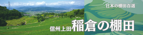 稲倉の棚田ウェブサイトへ