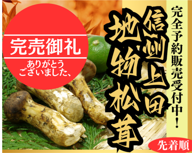 松茸 完売御礼
