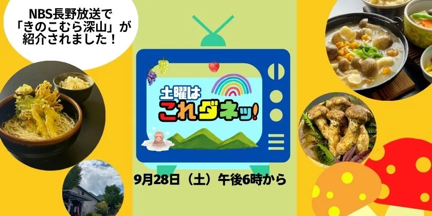 NBS長野放送　土曜、これダネッ！　きのこむら深山