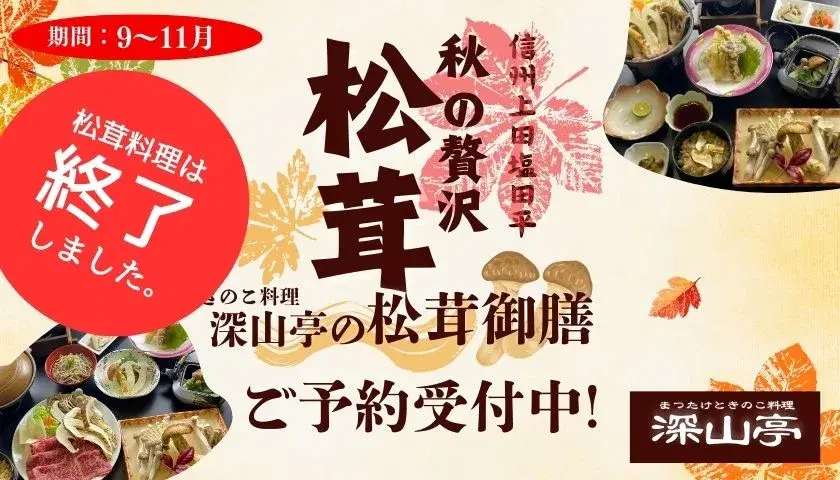 松茸料理